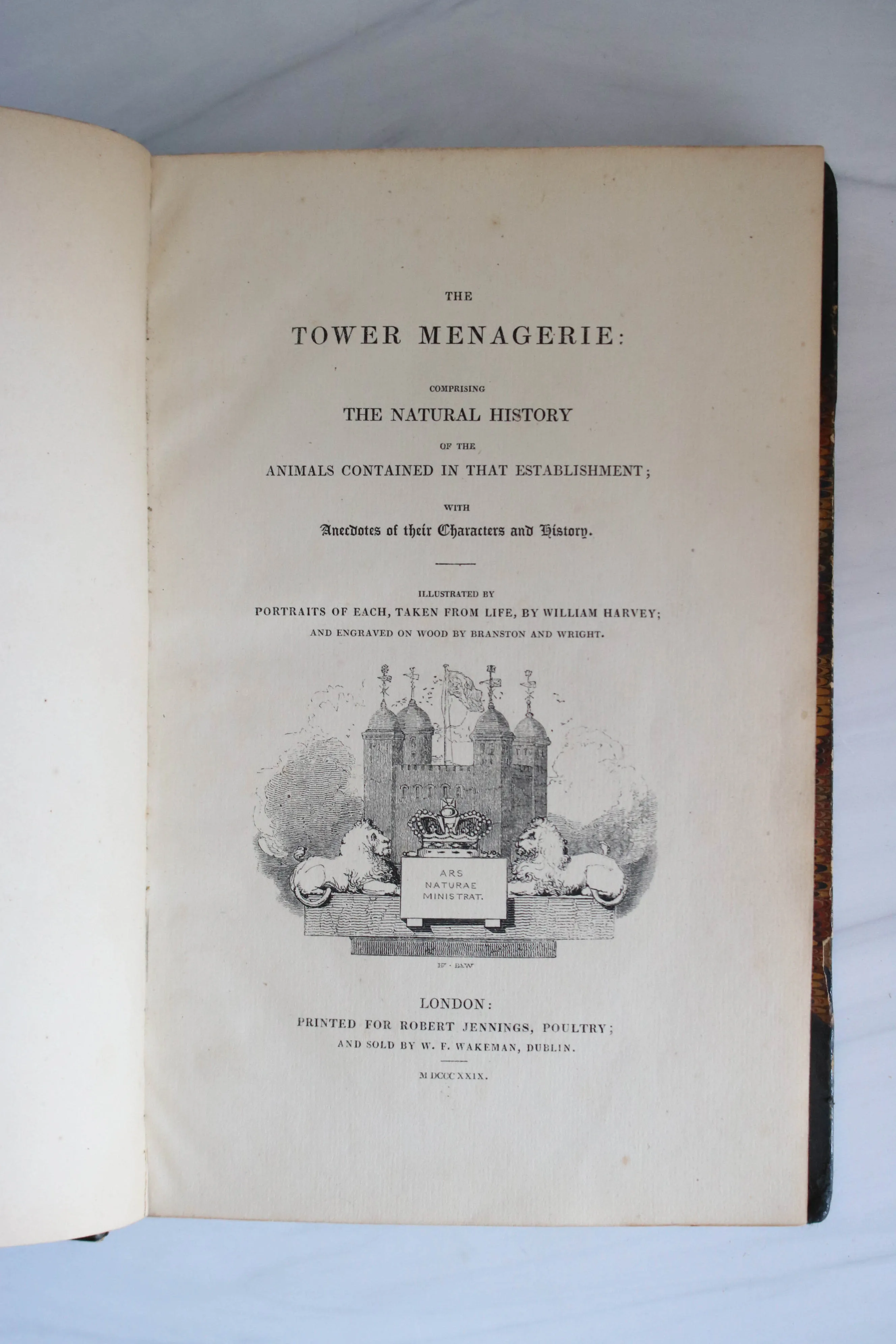 -The Tower Menagerie*