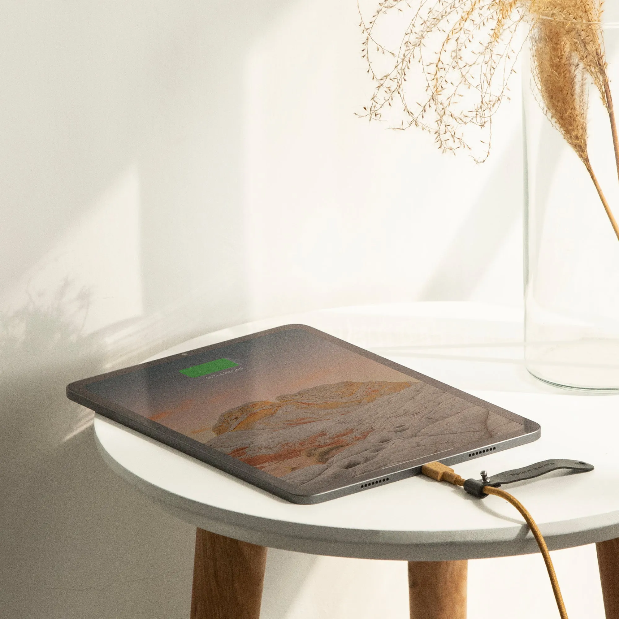 Belt Cable (USB-C to USB-C)