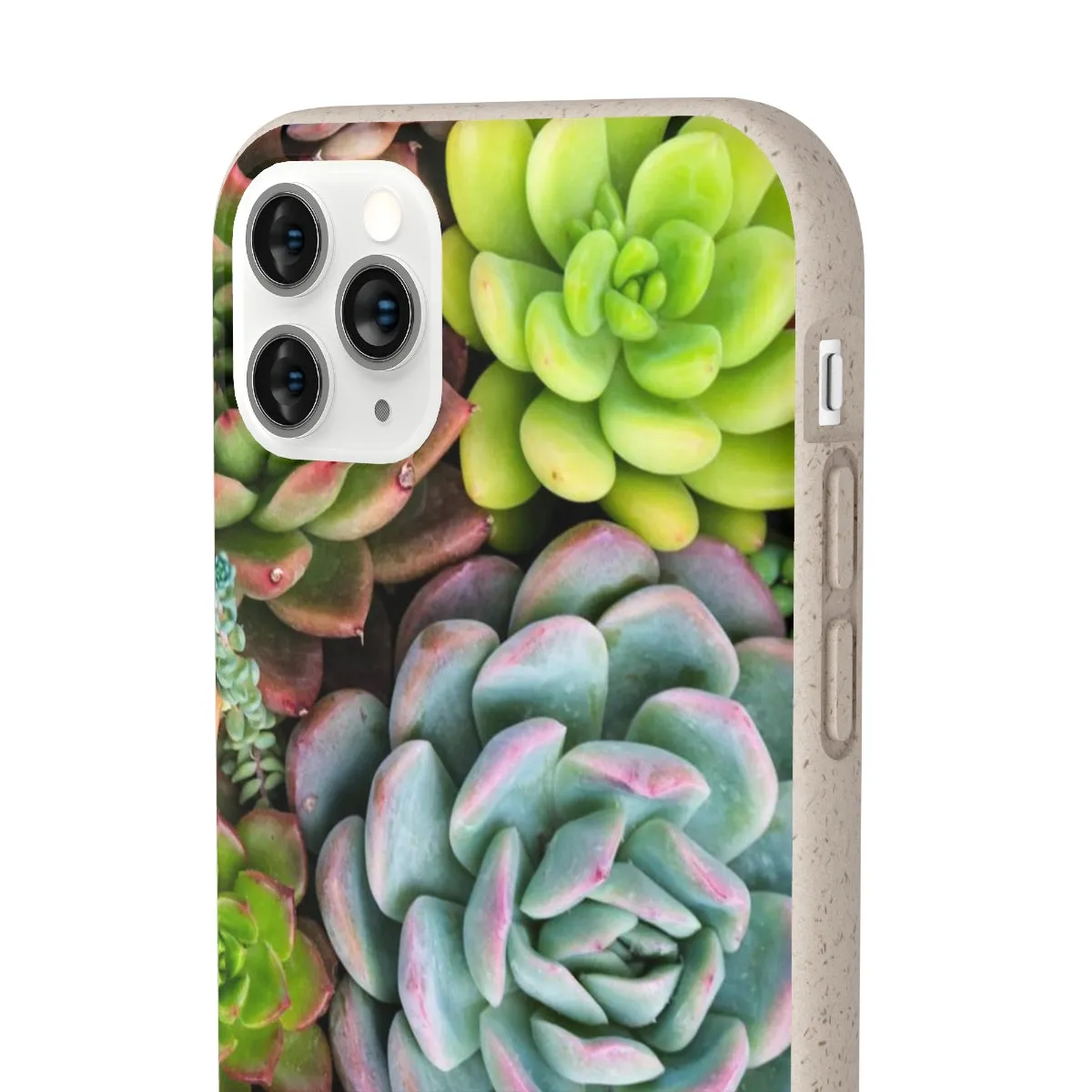 Cactus Eco Phone Case, Succulent iPhone 13 12 11 Pro Biodegradable Mini Plant Samsung Galaxy S20 S21 S22 Eco Friendly