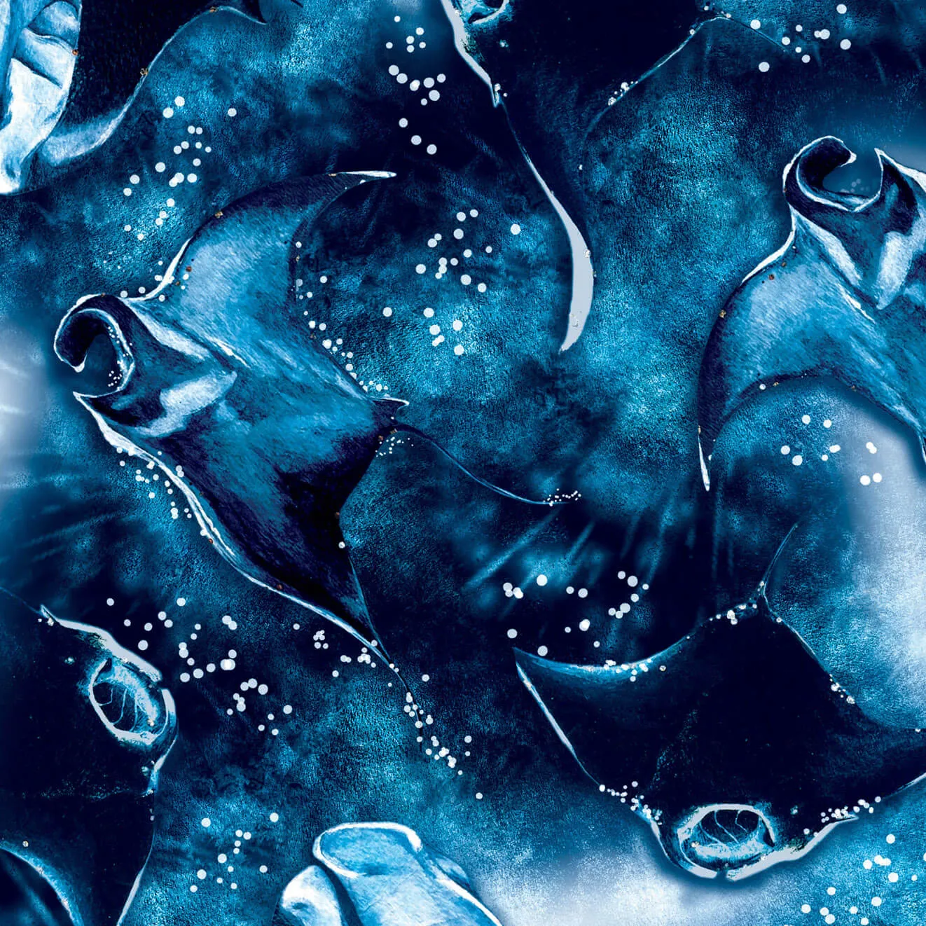 Eco-friendly Manta Mayhem Dive Socks