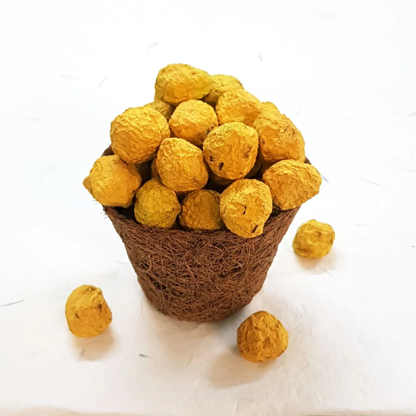 Eco-Friendly Plantable Seed Balls