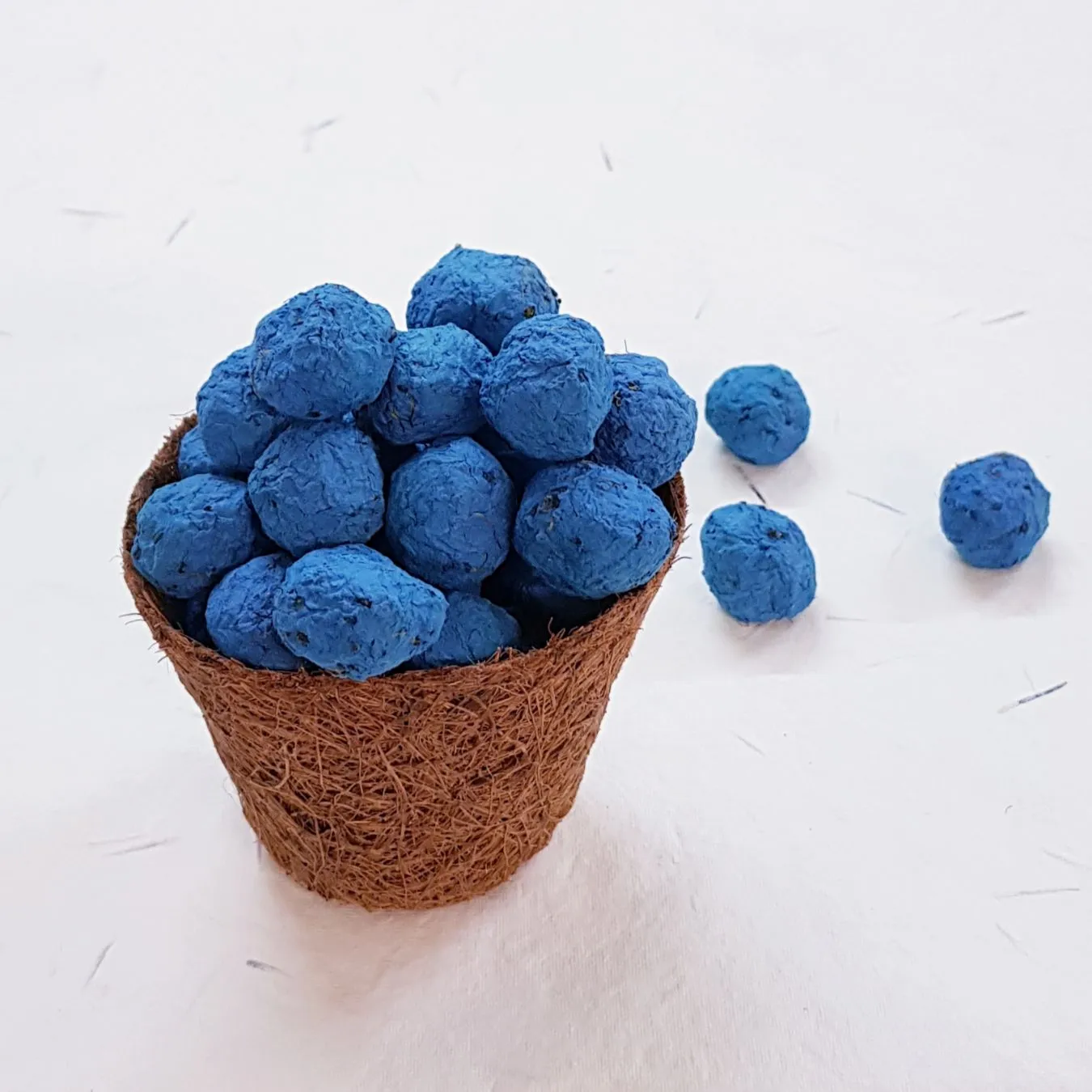 Eco-Friendly Plantable Seed Balls