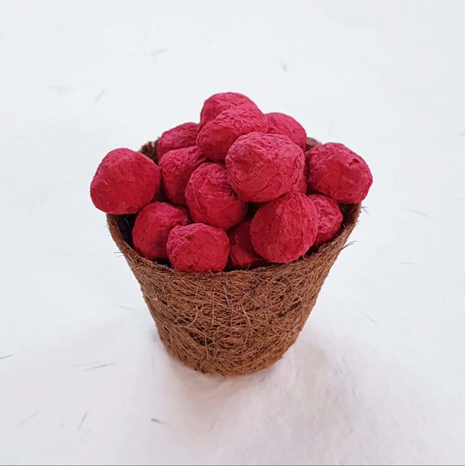 Eco-Friendly Plantable Seed Balls