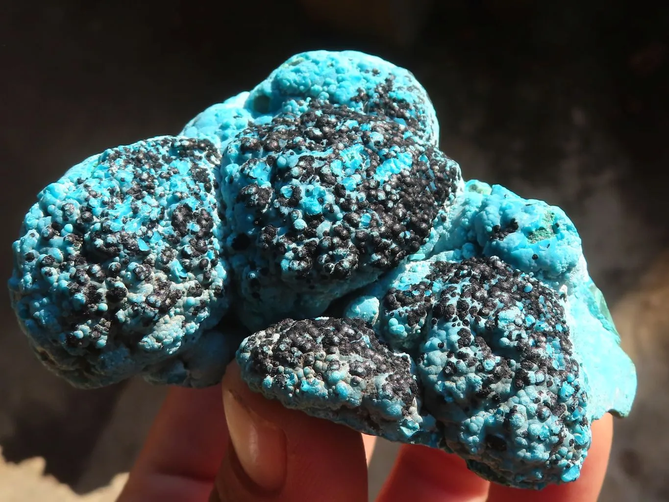 Natural Stunning Malacholla Specimens  x 2 From Kulukuluku, Congo
