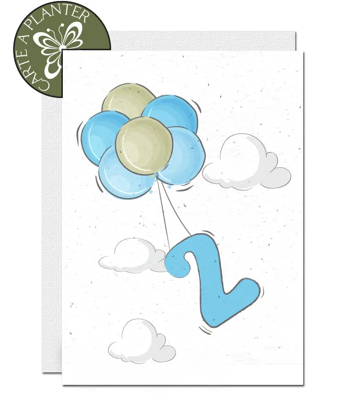 Plantable Birthday Card - Personalise Age - Boy 1 - 12 years