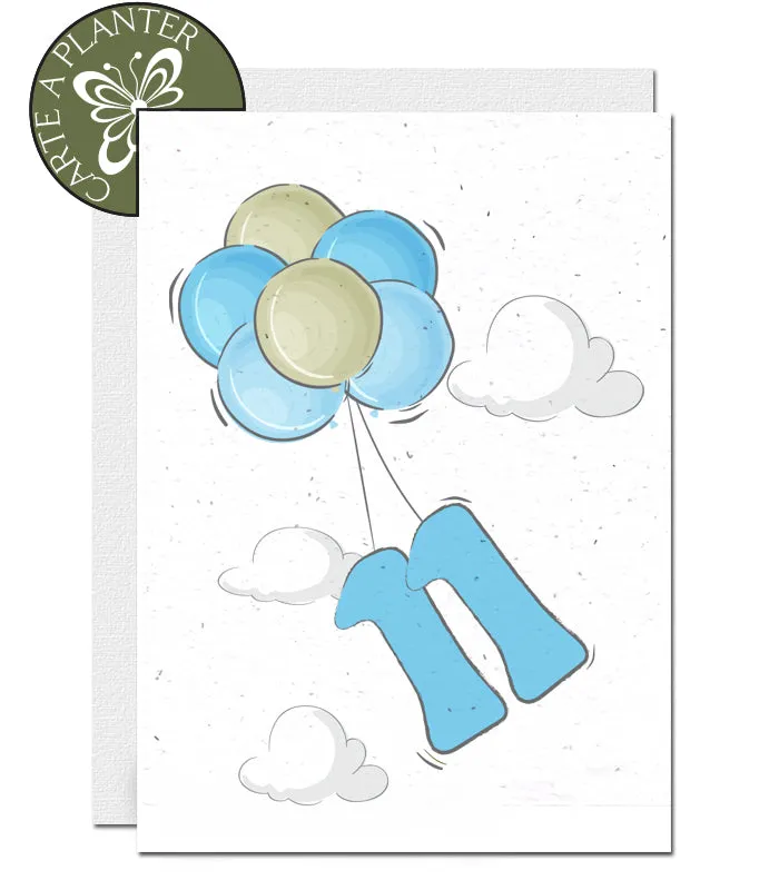 Plantable Birthday Card - Personalise Age - Boy 1 - 12 years