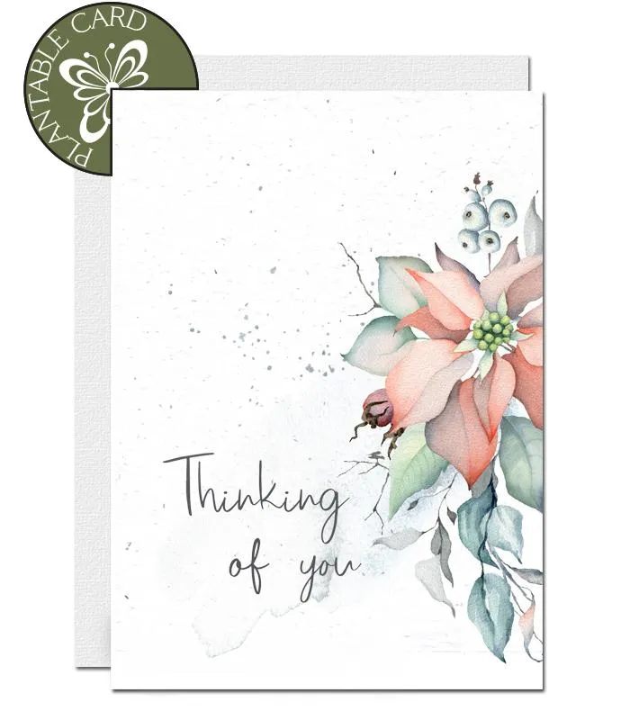 Plantable Condolence Card - Poinsettia