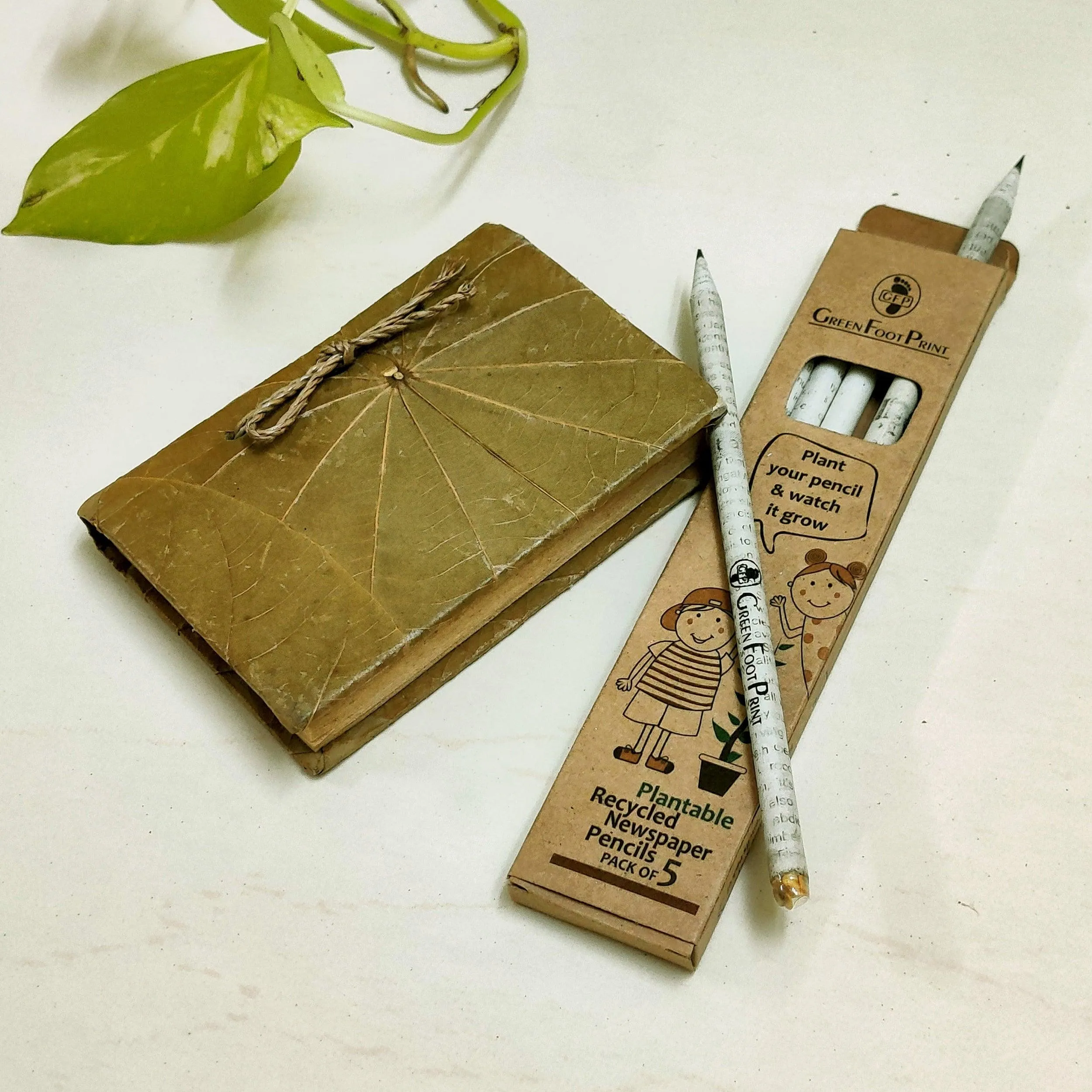 Plantable Recycled News Paper Seed Pencils - Set Of 20
