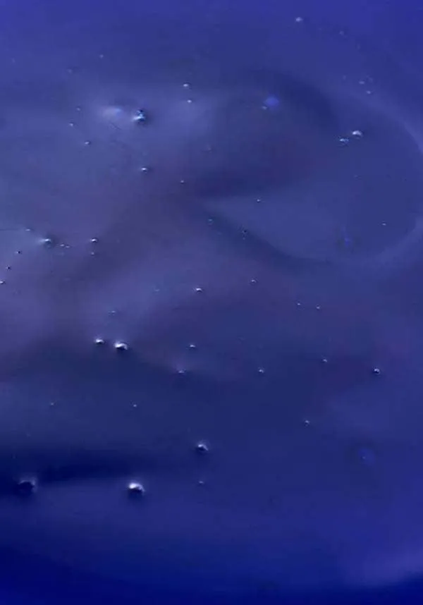 Vibrant Blue | SHAMPOO