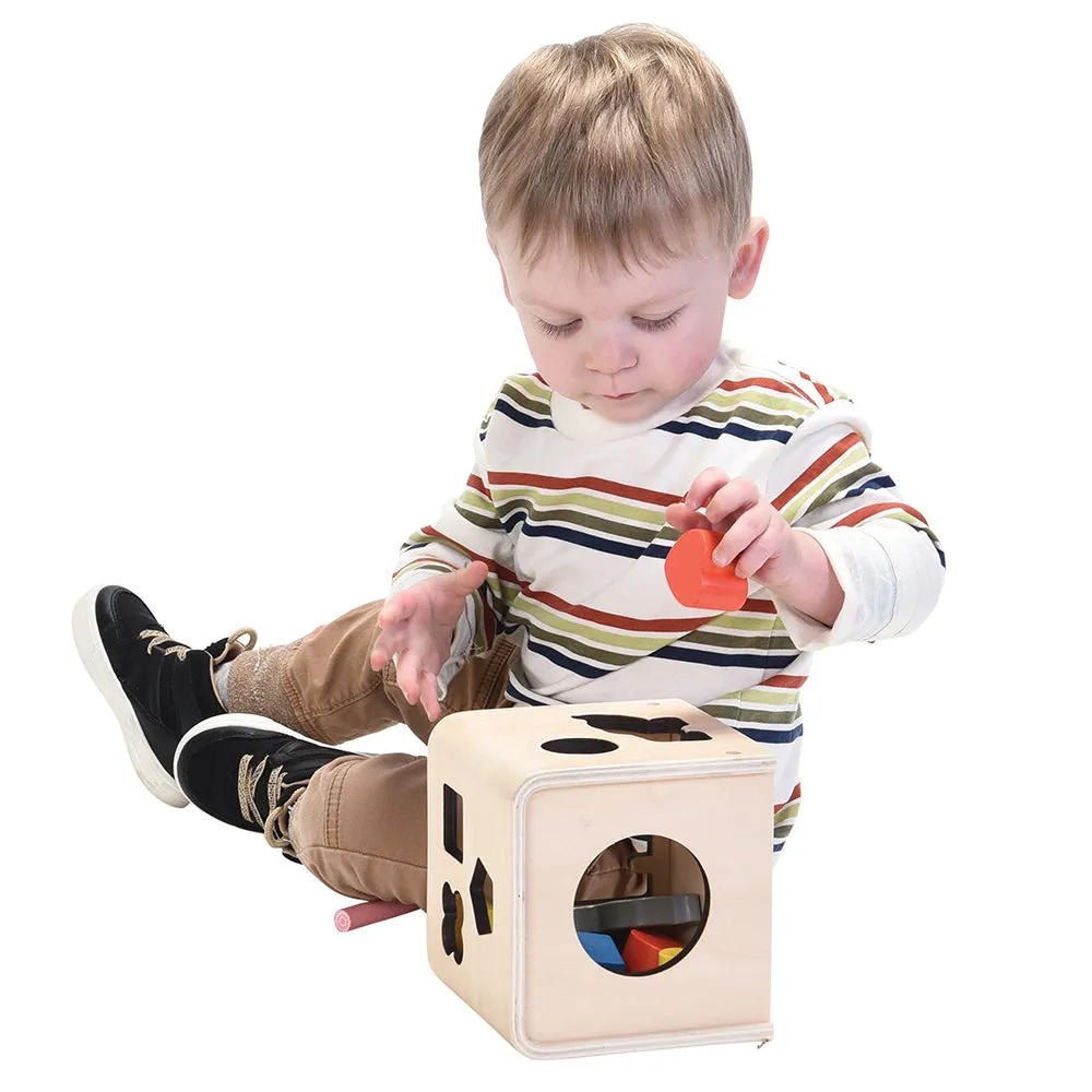 Wooden Animal and Shape Sorter