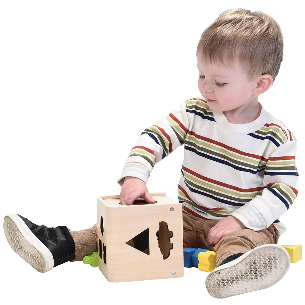 Wooden Animal and Shape Sorter